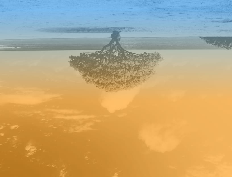 The Upside Down